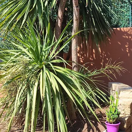 Domu Abba&chelu Villa